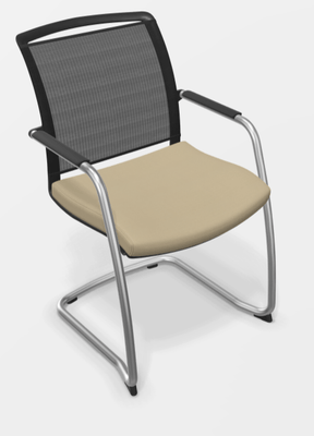 VISITEURS ET FONCTIONNELS - Luge - DANDY VISITEUR fauteuil luge assise STK-61149