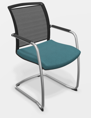 VISITEURS ET FONCTIONNELS - Luge - DANDY VISITEUR fauteuil luge assise SMQ-67072